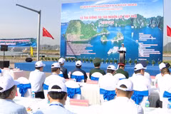 越中两国向北部湾海域放流800万多尾鱼虾苗