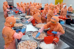 越南经济亮点：出口量质齐增