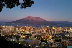加强越南与日本九州各地方和企业之间的对接沟通