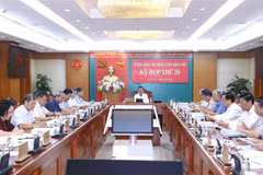 越共中央检查委员会第二十次会议：对越南社会科学翰林院党委常委会给予警告处分