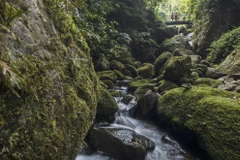 辛溪湖村——莱州省吸引游客的旅游目的地