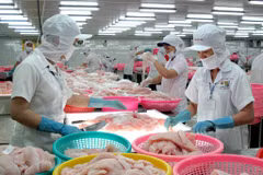 企业界是安江省经济发展的核心