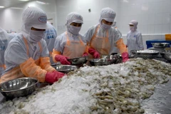 芹苴市着力实现2022年出口总额达20.2亿美元的目标