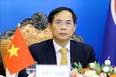 回顾2021年：在党十三大决议下越南外交工作为建国卫国事业作出贡献