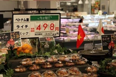 开放农产品市场：按照国际标准生产农产品