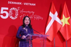越南与丹麦建交50周年庆典在河内举行