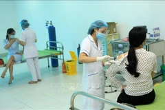 春节期间太平省疫苗接种率全国领先