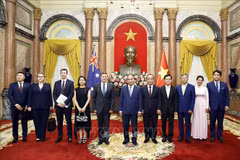 越南国家主席阮春福接受荷兰、匈牙利、澳大利亚、卢森堡等国新任驻越大使递交国书