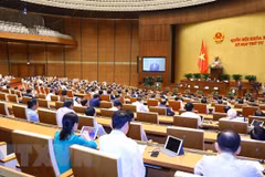 十五届国会四次会议：就打击犯罪和违法行为工作进行讨论