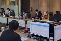 越南出席东盟一体化倡议工作组会议