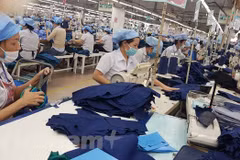 印度企业：越南是充满发展潜力的市场