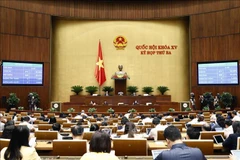 越南第十五届国会第三次会议新闻公报（第十九号）