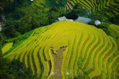 抓住机会重振旅游业