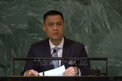 越南呼吁支持巴勒斯坦争取独立