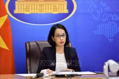 外交部例行记者会：越南一直以来大力实施预防和打击人口贩运的任务和措施
