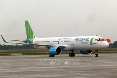 越南航空局召开紧急会议监督越竹航空运营