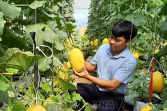 宁顺省出资近7300亿越南盾开展可持续减贫计划