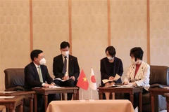 亚洲未来国际会议：范平明呼吁日本加大对越南的投资力度