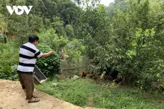 岱依族老农及其在祖国边境地区致富的渴望