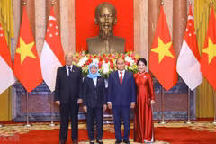 新加坡总统圆满结束对越南的国事访问