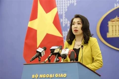 外交部例行记者会：外交部发言人就救援航班案件发表看法