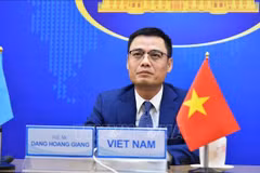  越南努力落实《全球反恐战略》和国际义务