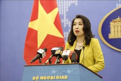外交部例行记者会：营救数百名在柬埔寨非法务工的越南公民