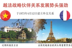 图表新闻：越法战略伙伴关系发展势头强劲