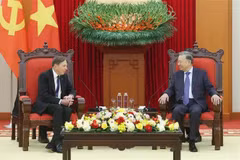 越共中央总书记苏林会见美国KKR投资基金领导人。图自越通社