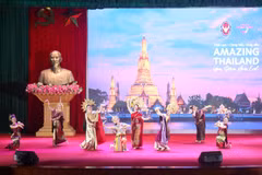 “泰国——越了解越热爱”活动上的表演节目。图自越通社
