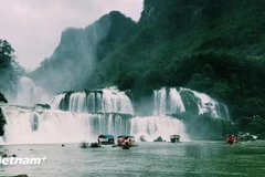 越南板约瀑布的美景。图自越通社