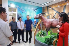 代表们参观广南省生物多样性博物馆。图自越通社