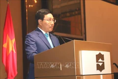 “越南文化日”活动在新加坡举行