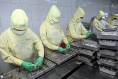 越南水产品出口首次突破80亿美元