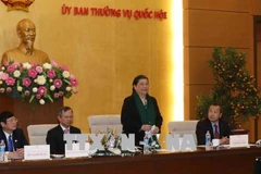 国会副主席丛氏放会见返乡过年的旅泰越南老教师代表团