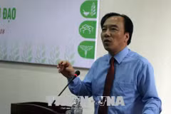 越南各个宗教在环保和人道救助方面起着重要作用