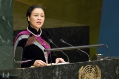 联合国强化和平与发展的有机结合
