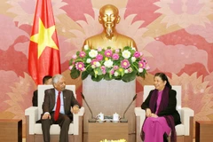 越南将继续积极参与联合国各项活动
