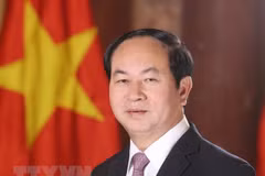 陈大光今日离开首都河内启程对埃塞俄比亚进行国事访问