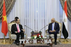 越南国家主席陈大光会见埃及议会议长