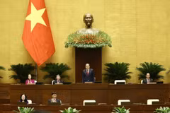 国会主席陈青敏主持开幕会并致辞。图自越通社
