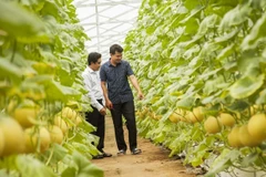 服务清真市场的一切原材料需按照伊斯兰教规定取自合法来源。图自越通社