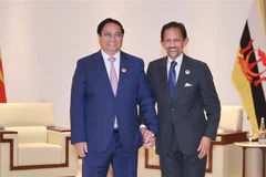 政府总理范明政（左）会见文莱苏丹哈桑纳尔。图自越通社