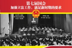 图表新闻：第七届国会：加强立法工作 满足新时期的要求