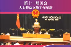 图表新闻：第十一届国会：大力推动立法工作革新