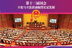 图表新闻：第十三届国会：立宪与立法 活动取得长足发展