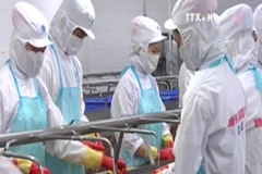 2016年越南水产品出口总额有望达70亿美元