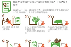 越南农业与农村发展部对9项行政审批流程实行一站式服务模式（图片来源：越通社）
