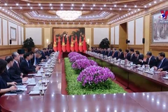 习近平同越共中央总书记、国家主席苏林举行会谈