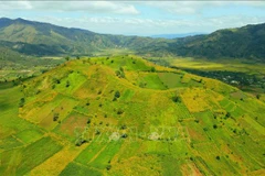 组图：肿柄菊节——嘉莱省诸登亚火山一片金色花海